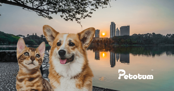 20+ Best Pet Shop, Hotel & Grooming in Shah Alam